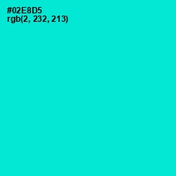 #02E8D5 - Bright Turquoise Color Image