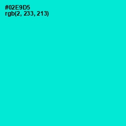 #02E9D5 - Bright Turquoise Color Image