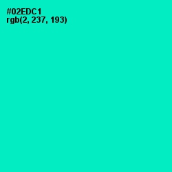 #02EDC1 - Bright Turquoise Color Image