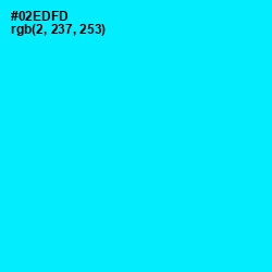 #02EDFD - Cyan / Aqua Color Image