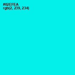 #02EFEA - Cyan / Aqua Color Image