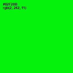 #02F20B - Green Color Image