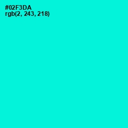 #02F3DA - Bright Turquoise Color Image