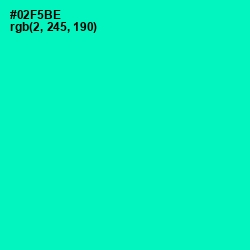 #02F5BE - Caribbean Green Color Image