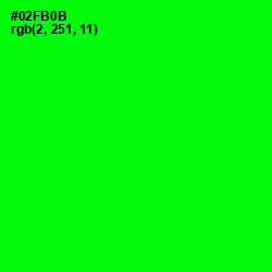 #02FB0B - Green Color Image