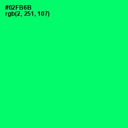 #02FB6B - Spring Green Color Image