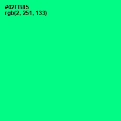 #02FB85 - Caribbean Green Color Image