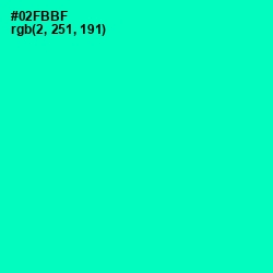 #02FBBF - Caribbean Green Color Image