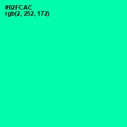 #02FCAC - Caribbean Green Color Image