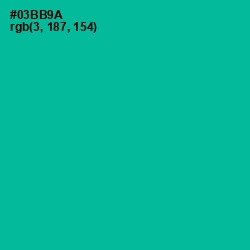 #03BB9A - Persian Green Color Image