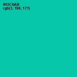 #03C6AB - Caribbean Green Color Image