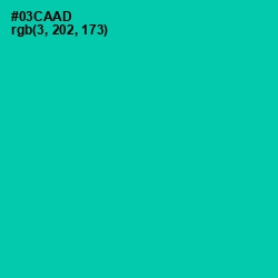 #03CAAD - Caribbean Green Color Image