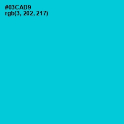 #03CAD9 - Robin's Egg Blue Color Image