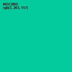 #03CB9D - Caribbean Green Color Image