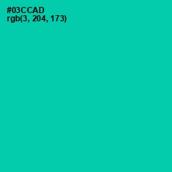 #03CCAD - Caribbean Green Color Image