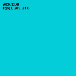 #03CDD9 - Robin's Egg Blue Color Image