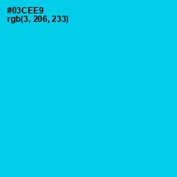#03CEE9 - Bright Turquoise Color Image