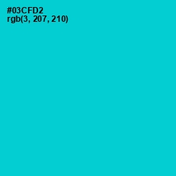 #03CFD2 - Robin's Egg Blue Color Image