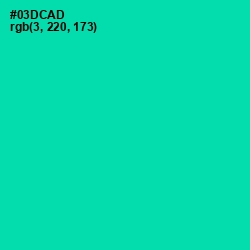 #03DCAD - Caribbean Green Color Image