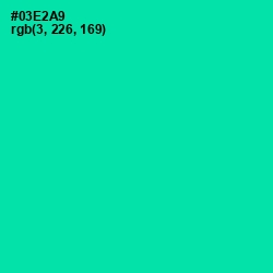 #03E2A9 - Caribbean Green Color Image