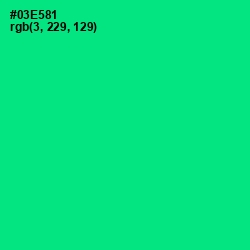 #03E581 - Caribbean Green Color Image