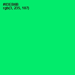 #03EB6B - Spring Green Color Image