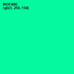 #03FA9E - Caribbean Green Color Image