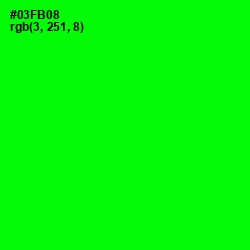 #03FB08 - Green Color Image