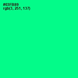 #03FB89 - Caribbean Green Color Image