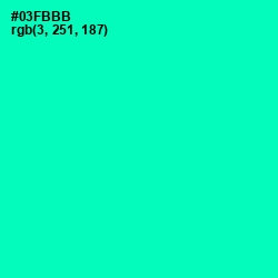 #03FBBB - Caribbean Green Color Image