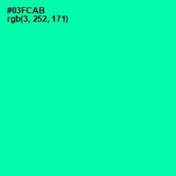 #03FCAB - Caribbean Green Color Image