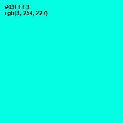 #03FEE3 - Cyan / Aqua Color Image