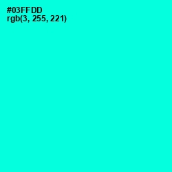 #03FFDD - Bright Turquoise Color Image