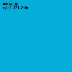 #04AEDB - Cerulean Color Image