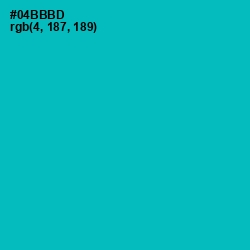 #04BBBD - Bondi Blue Color Image