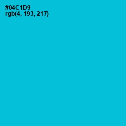 #04C1D9 - Robin's Egg Blue Color Image