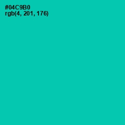#04C9B0 - Caribbean Green Color Image