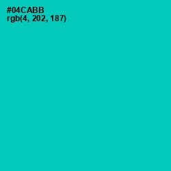 #04CABB - Caribbean Green Color Image