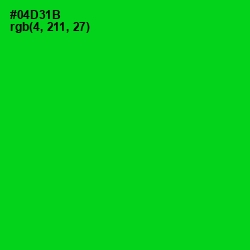 #04D31B - Green Color Image