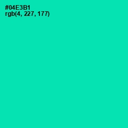 #04E3B1 - Caribbean Green Color Image