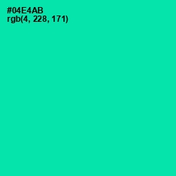 #04E4AB - Caribbean Green Color Image