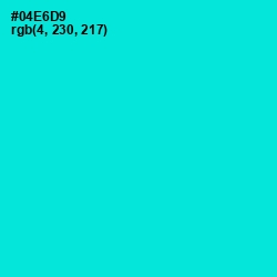 #04E6D9 - Bright Turquoise Color Image