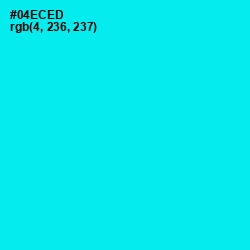 #04ECED - Cyan / Aqua Color Image