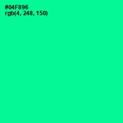 #04F896 - Caribbean Green Color Image