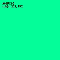 #04FC99 - Caribbean Green Color Image