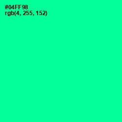 #04FF98 - Caribbean Green Color Image