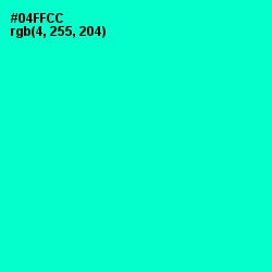 #04FFCC - Bright Turquoise Color Image