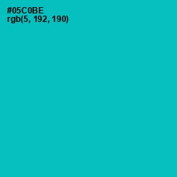 #05C0BE - Caribbean Green Color Image