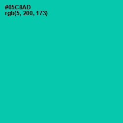 #05C8AD - Caribbean Green Color Image