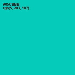 #05CBBB - Caribbean Green Color Image